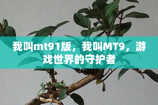 我叫mt91版，我叫MT9，游戏世界的守护者