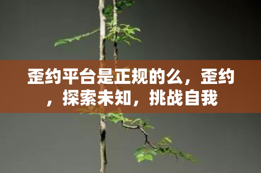歪约平台是正规的么,歪约,探索未知,挑战自我 歪约平台是正规的么,歪约,探索未知,挑战自我