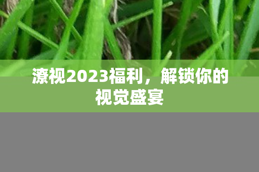 潦视2023福利，解锁你的视觉盛宴