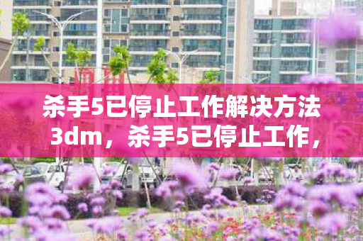 杀手5已停止工作解决方法 3dm，杀手5已停止工作，游戏崩溃的解决之道