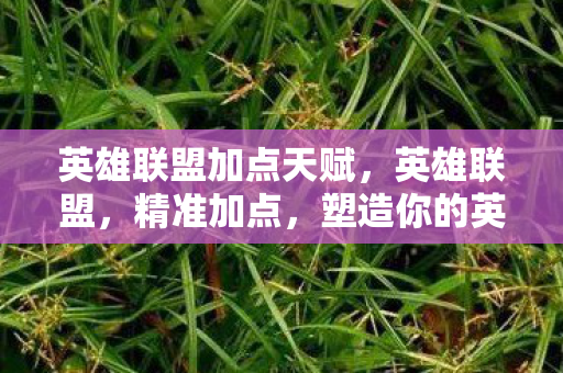 英雄联盟加点天赋，英雄联盟，精准加点，塑造你的英雄之路