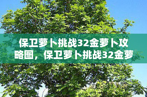 保卫萝卜挑战32金萝卜攻略图,保卫萝卜挑战32金萝卜攻略 保卫萝卜挑战32金萝卜攻略图,保卫萝卜挑战32金萝卜攻略
