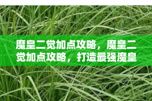 魔皇二觉加点攻略,魔皇二觉加点攻略,打造最强魔皇的加点建议 魔皇二觉加点攻略,魔皇二觉加点攻略,打造最强魔皇的加点建议