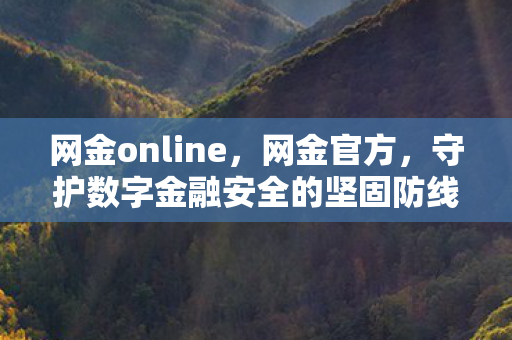 网金online,网金官方,守护数字金融安全的坚固防线 网金online,网金官方,守护数字金融安全的坚固防线