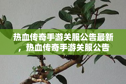 热血传奇手游关服公告最新，热血传奇手游关服公告