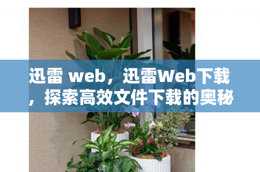 迅雷 web，迅雷Web下载，探索高效文件下载的奥秘