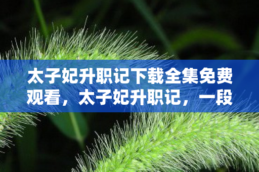 太子妃升职记下载全集免费观看,太子妃升职记,一段跨越时空的浪漫传奇 太子妃升职记下载全集免费观看,太子妃升职记,一段跨越时空的浪漫传奇