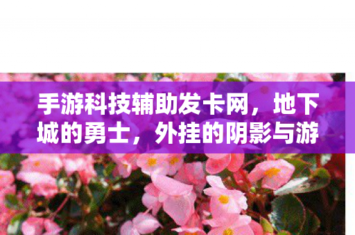 手游科技辅助发卡网，地下城的勇士，外挂的阴影与游戏精神的探索