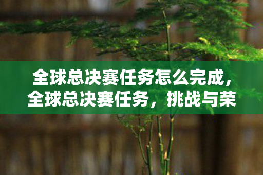 全球总决赛任务怎么完成,全球总决赛任务,挑战与荣耀的巅峰对决 全球总决赛任务怎么完成,全球总决赛任务,挑战与荣耀的巅峰对决