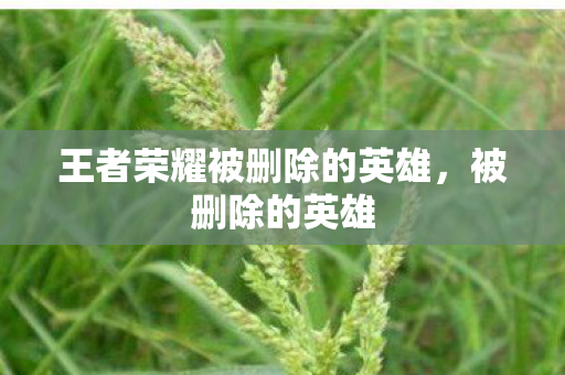 王者荣耀被删除的英雄，被删除的英雄