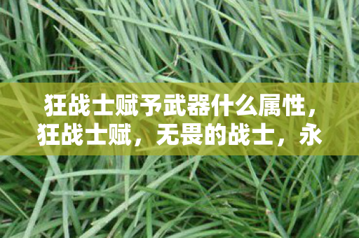 狂战士赋予武器什么属性,狂战士赋,无畏的战士,永恒的荣耀 狂战士赋予武器什么属性,狂战士赋,无畏的战士,永恒的荣耀