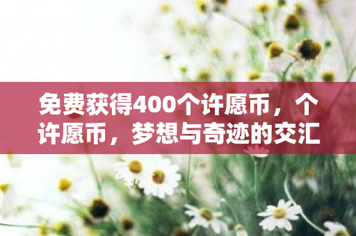 免费获得400个许愿币,个许愿币,梦想与奇迹的交汇点 免费获得400个许愿币,个许愿币,梦想与奇迹的交汇点