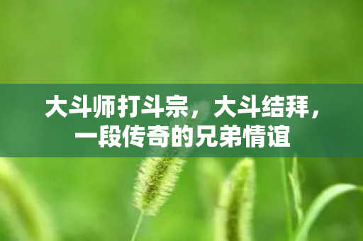 大斗师打斗宗，大斗结拜，一段传奇的兄弟情谊