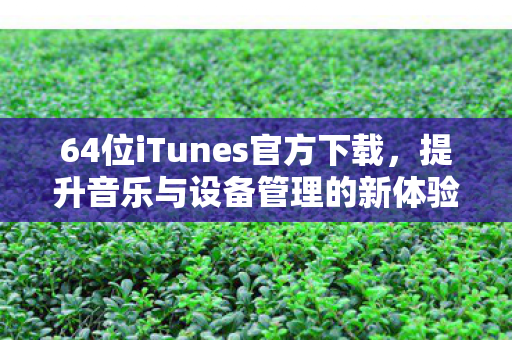 64位iTunes官方下载，提升音乐与设备管理的新体验