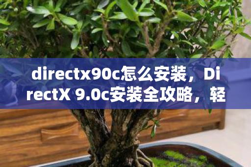 directx90c怎么安装，DirectX 9.0c安装全攻略，轻松解决常见问题