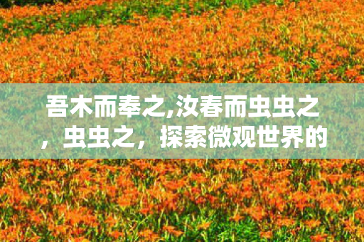 吾木而奉之,汝春而虫虫之,虫虫之,探索微观世界的奇妙之旅 吾木而奉之,汝春而虫虫之,虫虫之,探索微观世界的奇妙之旅