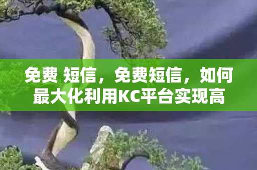 免费 短信,免费短信,如何最大化利用KC平台实现高效沟通 免费 短信,免费短信,如何最大化利用KC平台实现高效沟通