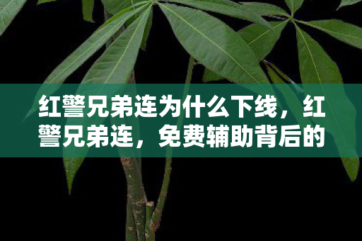 红警兄弟连为什么下线，红警兄弟连，免费辅助背后的真相