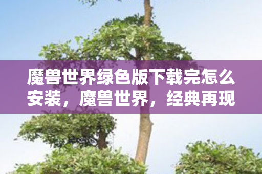 魔兽世界绿色版下载完怎么安装，魔兽世界，经典再现，绿版来袭