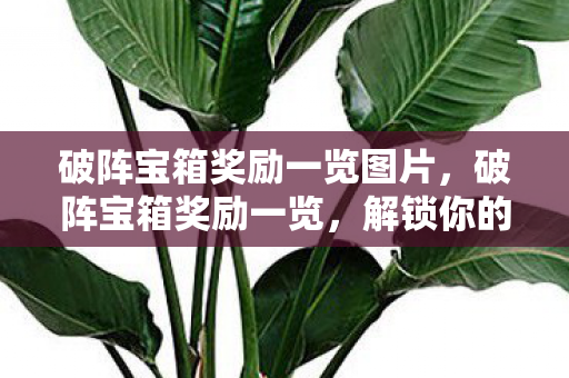破阵宝箱奖励一览图片,破阵宝箱奖励一览,解锁你的游戏宝藏 破阵宝箱奖励一览图片,破阵宝箱奖励一览,解锁你的游戏宝藏
