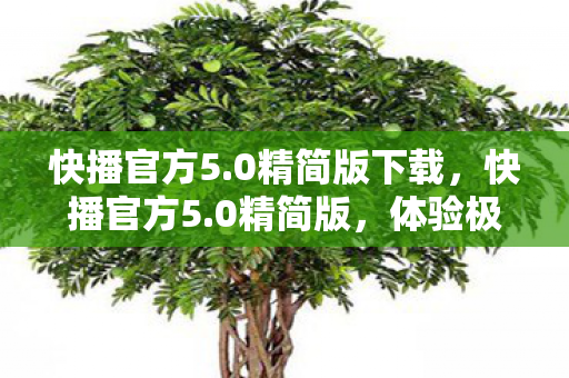 快播官方5.0精简版下载，快播官方5.0精简版，体验极速播放的魅力