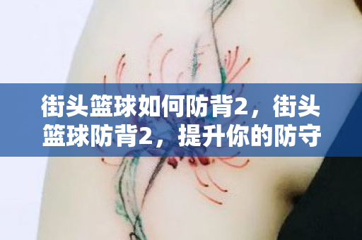 街头篮球如何防背2，街头篮球防背2，提升你的防守技巧