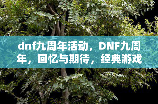 dnf九周年活动,DNF九周年,回忆与期待,经典游戏的成长之路 dnf九周年活动,DNF九周年,回忆与期待,经典游戏的成长之路