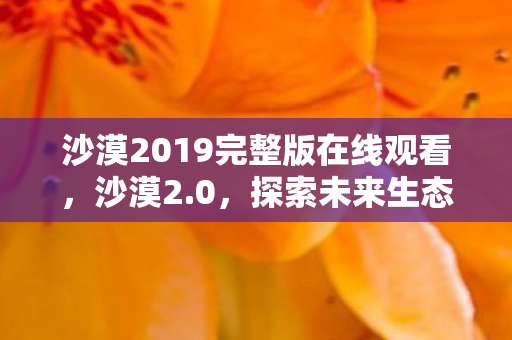 沙漠2019完整版在线观看，沙漠2.0，探索未来生态与科技的融合