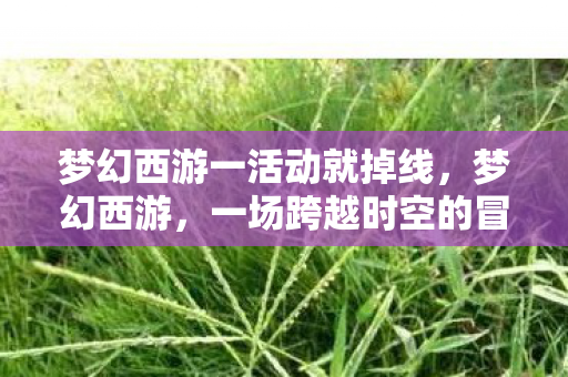 梦幻西游一活动就掉线，梦幻西游，一场跨越时空的冒险之旅