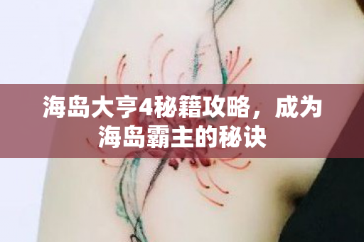 海岛大亨4秘籍攻略，成为海岛霸主的秘诀