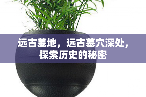 远古墓地,远古墓穴深处,探索历史的秘密 远古墓地,远古墓穴深处,探索历史的秘密