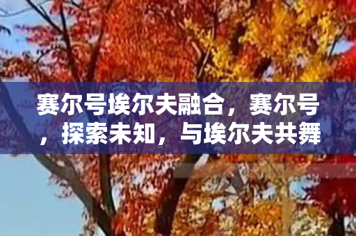 赛尔号埃尔夫融合,赛尔号,探索未知,与埃尔夫共舞 赛尔号埃尔夫融合,赛尔号,探索未知,与埃尔夫共舞