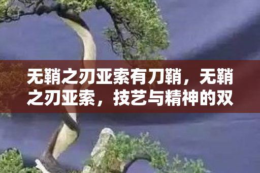 无鞘之刃亚索有刀鞘,无鞘之刃亚索,技艺与精神的双重修炼 无鞘之刃亚索有刀鞘,无鞘之刃亚索,技艺与精神的双重修炼