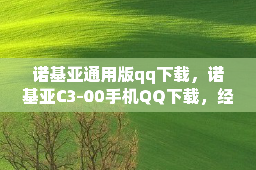 诺基亚通用版qq下载，诺基亚C3-00手机QQ下载，经典再现，回忆重温