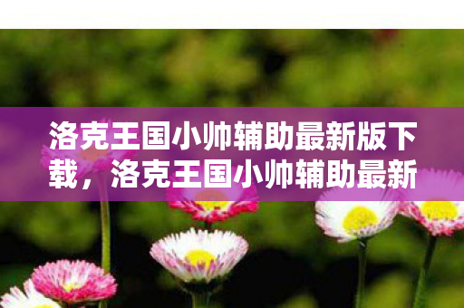 洛克王国小帅辅助最新版下载，洛克王国小帅辅助最新版，打造你的专属王国