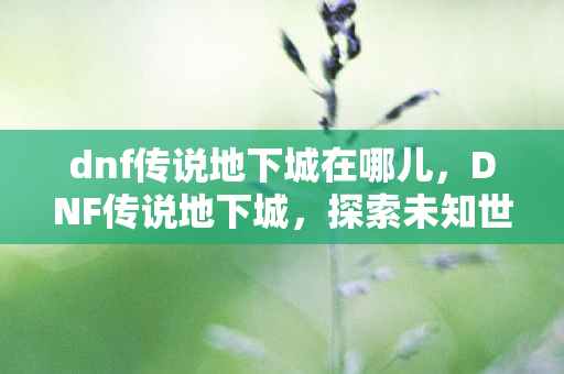 dnf传说地下城在哪儿，DNF传说地下城，探索未知世界的奇幻之旅