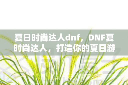夏日时尚达人dnf，DNF夏时尚达人，打造你的夏日游戏风格