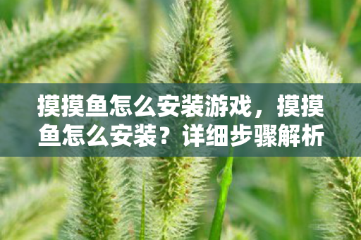 摸摸鱼怎么安装游戏，摸摸鱼怎么安装？详细步骤解析