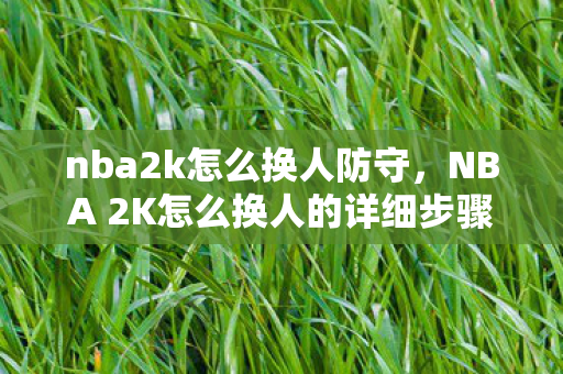 nba2k怎么换人防守，NBA 2K怎么换人的详细步骤