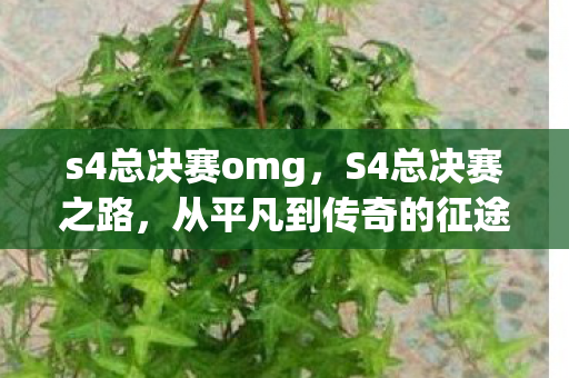 s4总决赛omg,S4总决赛之路,从平凡到传奇的征途 s4总决赛omg,S4总决赛之路,从平凡到传奇的征途