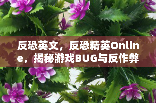 反恐英文，反恐精英Online，揭秘游戏BUG与反作弊措施