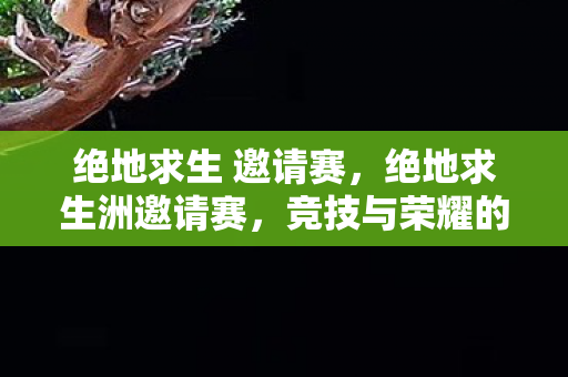绝地求生 邀请赛，绝地求生洲邀请赛，竞技与荣耀的盛宴