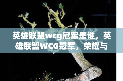 英雄联盟wcg冠军是谁，英雄联盟WCG冠军，荣耀与梦想的交响曲