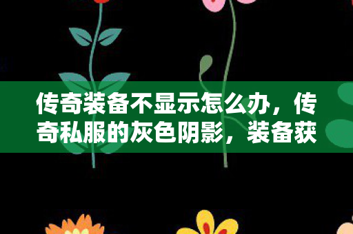 传奇装备不显示怎么办，传奇私服的灰色阴影，装备获取的非法途径与风险