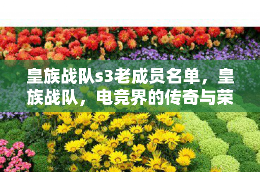 皇族战队s3老成员名单，皇族战队，电竞界的传奇与荣耀