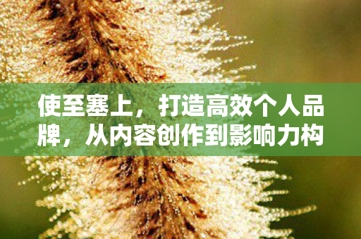 使至塞上，打造高效个人品牌，从内容创作到影响力构建的全面指南