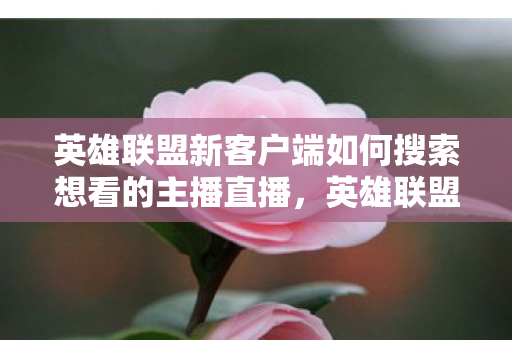 英雄联盟新客户端如何搜索想看的主播直播，英雄联盟新客户端，重塑游戏体验的革新之作