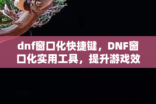 dnf窗口化快捷键，DNF窗口化实用工具，提升游戏效率与体验的新选择