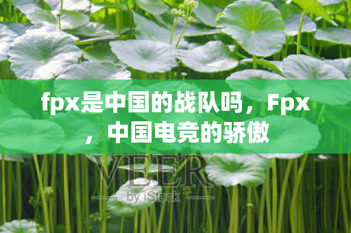 fpx是中国的战队吗,Fpx,中国电竞的骄傲 fpx是中国的战队吗,Fpx,中国电竞的骄傲