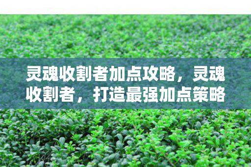 灵魂收割者加点攻略，灵魂收割者，打造最强加点策略